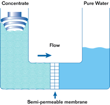 Characteristics of filtration systems | JC Italia
